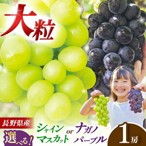 yӂ邳Ɣ[Łz ys\zIׂiIiKmp[v or VC}XJbg | ʕ  t[c  Ԃǂ uhE VC}XJbg  iKmp[v 쌧 Ks