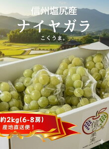 yӂ邳Ɣ[ŁzMBKY@ iCK@2kg@i6[`8[@Hpj | iCK iCAK   Hp n Ԃǂ  uhE  ʕ t[c 쌧 K