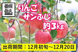 【ふるさと納税】りんご　サンふじ　大玉7～12個　約3kg　長野県佐久市産　（沖縄、離島への発送不可）【出荷時期：2024年12月4日出荷開始～2024年12月20日出荷終了】【梅屋果樹園　標高750m　斜面を活用　色づき、糖度、肉質に優れ　高い評価 長野県 佐久市 】