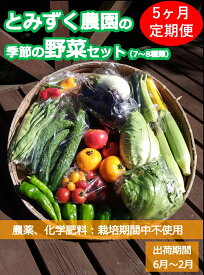 【ふるさと納税】【5ヶ月連続定期便】とみずく農園の季節の野菜セット　無農薬 高原野菜　旬　新鮮　詰合せ〈出荷時期:2024年6月17日以降出荷開始～2025年2月28日出荷終了〉【 長野県 佐久市 】