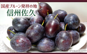 yӂ邳Ɣ[ŁzMBYv[wTv[x2kgi2025N915`30oׁ^kCEE͔zsj쌧 { ʕ t[cy 쌧v[Y̔˒n@⏬@