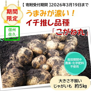 yӂ邳Ɣ[ŁzyԌzWKC5kgikCEꌧEzsj|ZI_̕iuˊہv 쌧 MB vs 