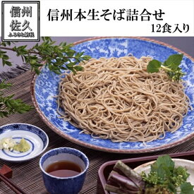 【ふるさと納税】 生麺専門工房 伴野の「信州本生そば詰合せ・つゆ付12食」（沖縄・離島配送不可） 蕎麦 石臼 セット コシ 生麺【 ソバ 生そば 長野県 佐久市 】