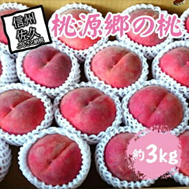 【ふるさと納税】【期間限定】桃源郷の桃 約3kg（2026年8月1日～20日出荷／北海道・沖縄・離島は配送不可）完熟 もも モモ フルーツ 産地直送 旬彩 信州 長野 佐久市 品種指定なし 玉数指定なし