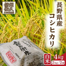 【ふるさと納税】【令和8年産・白米4kg（2kg×2袋）】 特別栽培米　五郎兵衛米 〈2026年9月下旬頃～順次発送〉 先行予約　新米　信州　こしひかり