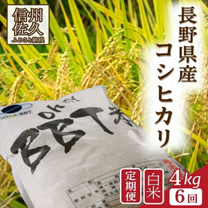 yӂ邳Ɣ[Łzyߘa7NYE4kg×6Jցz@ʍ͔|ā@BBTāiܘYqāj q2025N10{`r s\@Vā@MB@Ђy  R     