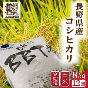 yӂ邳Ɣ[Łzyߘa7NYE8kg×12Jցzʍ͔|ā@BBTāiܘYqāj q2025N10{`r s\@Vā@MB@Ђy  R     