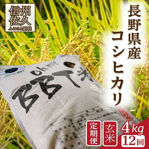 yӂ邳Ɣ[Łzyߘa7NYE4kg×12Jցzʍ͔|ā@BBTāiܘYqāj q2025N10{`r s\@Vā@MB@Ђy  R    
