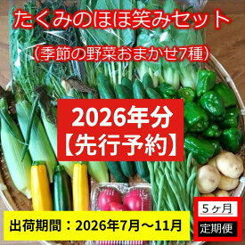 【ふるさと納税】【5ヶ月定期便】旬の野菜7種『たくみのほほ笑みセット』（2026年7～11月出荷／北海道・九州・沖縄県・離島は配送不可） 旬彩 長野県 信州 おまかせ 高原 産地直送 季節 詰合せ 有機 栽培 先行予約