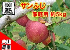 【ふるさと納税】長野県産 サンふじ りんご 家庭用 約5kg （14〜25玉）〈2025年12月出荷分／北海道・沖縄県・離島は配送不可〉信州 果物 旬彩 先行予約 季節限定【 当園にて愛情たっぷりに育てたりんご 長野県 佐久市 旬彩 】