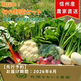 【ふるさと納税】【先行予約〈出荷時期:2026年6月出荷〉】朝採れおまかせ旬の高原野菜 7種セット (北海道・沖縄県・離島は配送不可)　長野県　信州　栽培期間中　無農薬　産地直送　季節　旬　岩渕なないろ農園 旬彩
