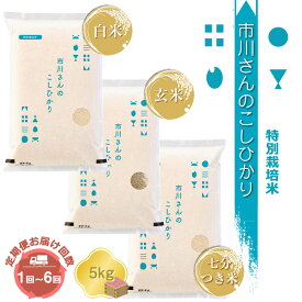 【ふるさと納税】【令和7年産】特別栽培米 市川さんのこしひかり （2025年11月出荷開始予定） | 選べる種類 お届け回数 定期便 | 先行予約 新米 白米 玄米 7分つき米 5kg 信州 国産 新米予約 長野県 佐久市