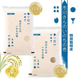 【ふるさと納税】【令和7年産】特別栽培米 市川さんのいのちの壱 5kg（2025年11月出荷開始予定）| 選べる種類 | 先行予約 新米 白米 玄米 信州 国産 新米予約 長野県 佐久市