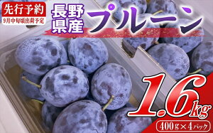 yӂ邳Ɣ[Łzy2025N9{`{zߘa7NYv[1.6kgi400g×4pbNjkCEE͔zs@Tv[@ʕ@t[c@́@v[@v[