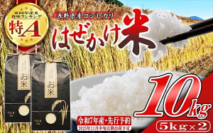 yӂ邳Ɣ[Łzyߘa7NYE10kgi5kg×2܁jz쌧YЂ ͂āi2025N11{`^kCEꌧE͔zsj Yn MB 쌧 vs 