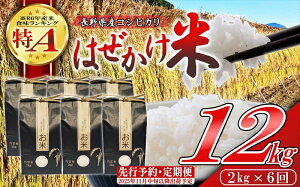 yӂ邳Ɣ[Łzyߘa7NYE2kg×6ցz쌧YЂ ͂āi2025N11{`^kCEꌧE͔zsj Yn MB 쌧 vs 