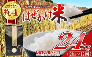 yӂ邳Ɣ[Łzyߘa7NYE2kg×12ցz쌧YЂ ͂āi2025N11{`^kCEꌧE͔zsj Yn MB 쌧 vs 