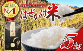 【ふるさと納税】【令和7年産・白米5kg】長野県産こしひかり はぜかけ米（北海道・沖縄県・離島は配送不可）精米 産地直送 信州 長野県 佐久市 美味しい うるち米