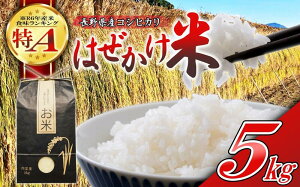 yӂ邳Ɣ[Łzyߘa7NYE5kgz쌧YЂ ͂āikCEꌧE͔zsj Yn MB 쌧 vs  V 邿