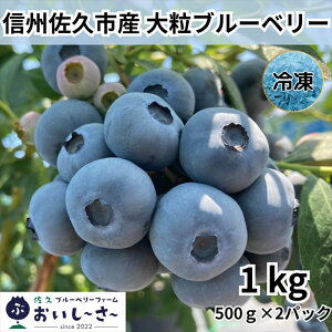 yӂ邳Ɣ[Łz 쌧Y Ⓚu[x[ 1kg i500g×2܁j 2025N7`12oׁ^E͔zs MB t[c ʕ n 嗱 Â u[x[ ʌ {