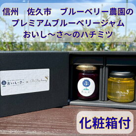 【ふるさと納税】長野県産 ブルーベリージャム125gとハチミツ100gセット（各1本/化粧箱入） 信州 佐久市 無添加 国産 アカシア 蜂蜜 ハニー パン ヨーグルト