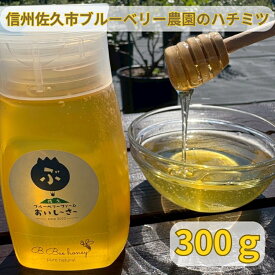 【ふるさと納税】長野県産ハチミツ 300g（純粋・非加熱・天然100%） 信州 佐久市 無添加 国産 アカシア 蜂蜜 ハニー パン ヨーグルト 希少 ブルーベリー