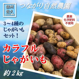 【ふるさと納税】長野県佐久市産カラフルじゃがいも約2kg（北海道・沖縄・離島は配送不可） 農薬・化学肥料　不使用　高原野菜　無農薬　産地直送　新鮮　旬彩　期間限定
