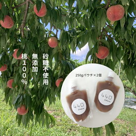 【ふるさと納税】信州産完熟桃（あかつき）のピューレ 250gパウチ×2個　|　長野県　佐久市　国産　フルーツ　果物　ピーチ　無糖　無添加　もも　モモ