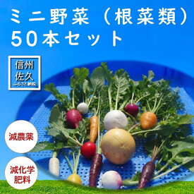 【ふるさと納税】長野県佐久市産『ミニ野菜(根菜類)50本セット』（北海道・沖縄・離島は配送不可） 高原野菜 産地直送 新鮮 旬彩 減農薬 減化学肥料 信州 おまかせ【 長野県 佐久市 】