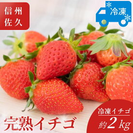 【ふるさと納税】おいしさそのまま瞬間冷凍！冷凍イチゴ約2kg（沖縄県・離島は発送不可）苺 ストロベリー 信州 | イチゴ 冷凍苺 産直 新鮮 フルーツ 井上寅雄農園 長野県 佐久市 旬彩 】