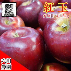 【ふるさと納税】長野県産 紅玉 りんご 家庭用 約4.5kg （18～28玉）〈2026年10月出荷分／北海道・沖縄県・離島は配送不可〉 信州 果物 旬彩 先行予約 季節限定【 当園にて愛情たっぷりに育てたりんご 長野県 佐久市 】