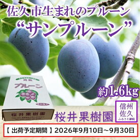 【ふるさと納税】プルーン約1.6kg（400g×4パック）（家庭用）【先行予約・2026年9月出荷】 （北海島・沖縄・離島は配送不可）サンプルーン 信州 果物 旬彩 期間限定