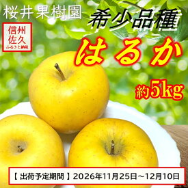【ふるさと納税】長野県産 りんご 『はるか』 約5kg（18～23玉入）(家庭用)〈2026年11・12月出荷／沖縄・離島は配送不可〉信州 果物 旬彩 期間限定　先行予約