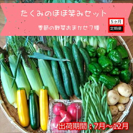 【ふるさと納税】【5ヶ月定期便】旬の野菜7種『たくみのほほ笑みセット』（2025年7～12月出荷／北海道・九州・沖縄県・離島は配送不可） 旬彩 長野県 信州 おまかせ 高原 産地直送 季節 詰合せ 有機 栽培