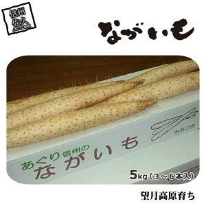 yӂ邳Ɣ[Łz쌧Y Ȃ 5kg q2025N121o׊Jn`2025N1225o׏Ir|    MBv y肩炱 앨{̔ڎwč͔| 쌧 