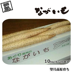 yӂ邳Ɣ[Łz쌧Y Ȃ 10kg q2025N121o׊Jn`2025N1225o׏Ir|    MBv y肩炱 앨{̔ڎwč͔| 쌧 
