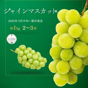 yӂ邳Ɣ[ŁzԂǂ VC}XJbg 1kg 2[ ~ 3[ k쌴_| O[v ʕ t[c VC}XJbg 1kg MBԂǂ MB Yn 햳 炲ƐHׂ Ԃǂ 