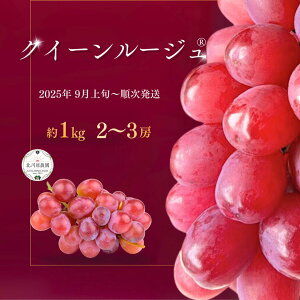 yӂ邳Ɣ[Łzy2026Ns\zԂǂ NC[[WR 1kg 2 ~ 3[ k쌴_ |  O[v ʕ t[c 1kg MBԂǂ MB Yn 햳 炲ƐHׂ VC}X