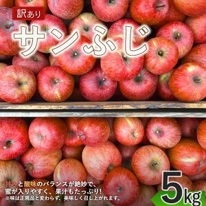 yӂ邳Ɣ[Łzy2025Ns\zTӂ  ƒp 5kg|ь  ʕ t[c T ӂ xm 5kg 󂠂 A MBь MB MB  Ȏs 
