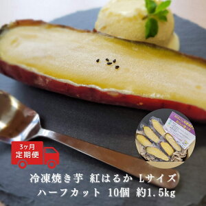 yӂ邳Ɣ[Łzy3zⓀ Ă g͂邩 LTCY n[tJbg 10 1.5kg| MB  Ȏs 