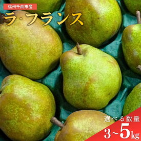 【ふるさと納税】【2026年先行予約】洋梨 ラ・フランス 約3kg / 5kg｜ ラフランス 洋梨 果物フルーツ デザート 千曲市 長野県産 信州