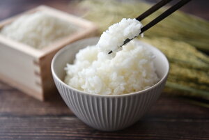 【ふるさと納税】令和7年産コシヒカリ精米5kg / 10kg| コシヒカリ ご飯 米 白米 千曲市 長野県 信州