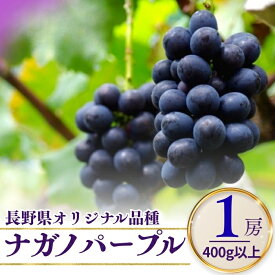 【ふるさと納税】【2026年先行予約】ナガノパープル 1房（400g以上）/ 約1kg（2~3房）/ 約2kg（4~6房）｜ 果物 フルーツ 黒ぶどう 葡萄 ブドウ 種無し 種なし 皮ごと 千曲市 長野県 信州