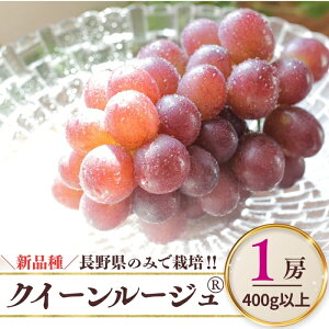 yӂ邳Ɣ[Łzy2026Ns\zNC[[WR 400gȏ(1[) | Ԃǂ  uhE O[v ԂԂǂ 햳 Ȃ 炲 ʕ  t[c MBԂǂ MB Yn M