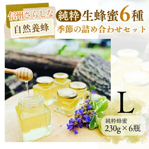【ふるさと納税】信州さらしな 自然養蜂!純粋生蜂蜜6種 季節の詰め合わせセット S/L|はちみつ ハチミツ 信州 長野県産 千曲市