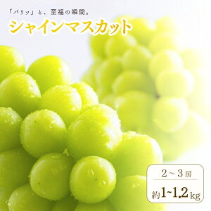 �y�ӂ邳�Ɣ[�Łz�y2026�N��s�\��z�V���C���}�X�J�b�g ��1kg ~ 1.2kg(2�[ ~ 3�[) �b�ʕ� �t���[�c ���Ԃǂ� ���� �u�h�E �햳�� ��Ȃ� �炲�� ��Ȏs ���쌧 �M�B