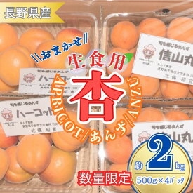 【ふるさと納税】【2027年先行予約】あんず おまかせ生食用(ハーコット・信山丸・おひさまコット・ニコニコット) 計約2kg | 杏子 アンズ アプリコット 信州 長野県 千曲市