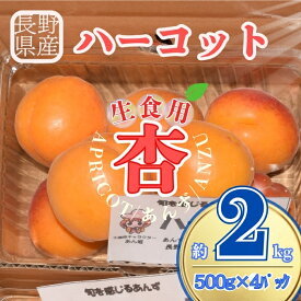 【ふるさと納税】【2027年先行予約】生食用あんずハーコット2kg（約500g×4パック）| 杏子 アプリコット 信州 長野県 千曲市