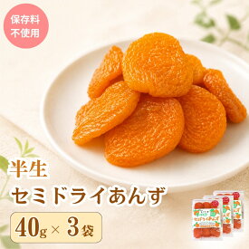 【ふるさと納税】人気 セミドライ（半生あんず）横島あんず40g×3袋セット | 干しあんず 杏子 あんず アンズ アプリコット セミドライ ドライ フルーツ ドライフルーツ 果物 くだもの おやつ デザート スイーツ おすすめ 国産 長野名物 信州 長野県産 長野 千曲市 送料無料