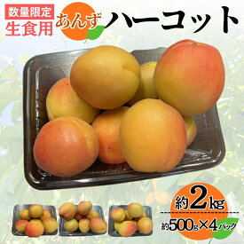 【ふるさと納税】【2027年先行予約】生食用あんず ハーコット 約500g×4パック| 杏子 アプリコット 信州 長野県 千曲市